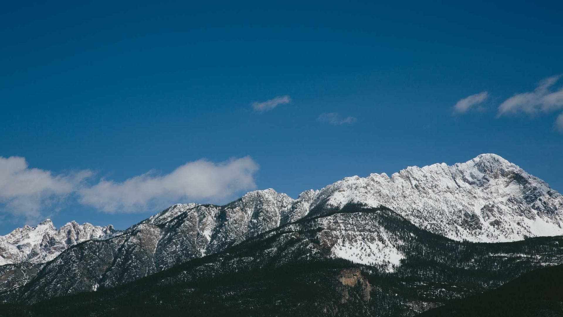 Yaratıcı Prodüksiyon