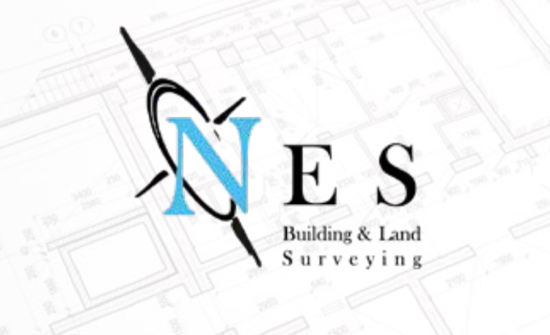 NES Surveys
